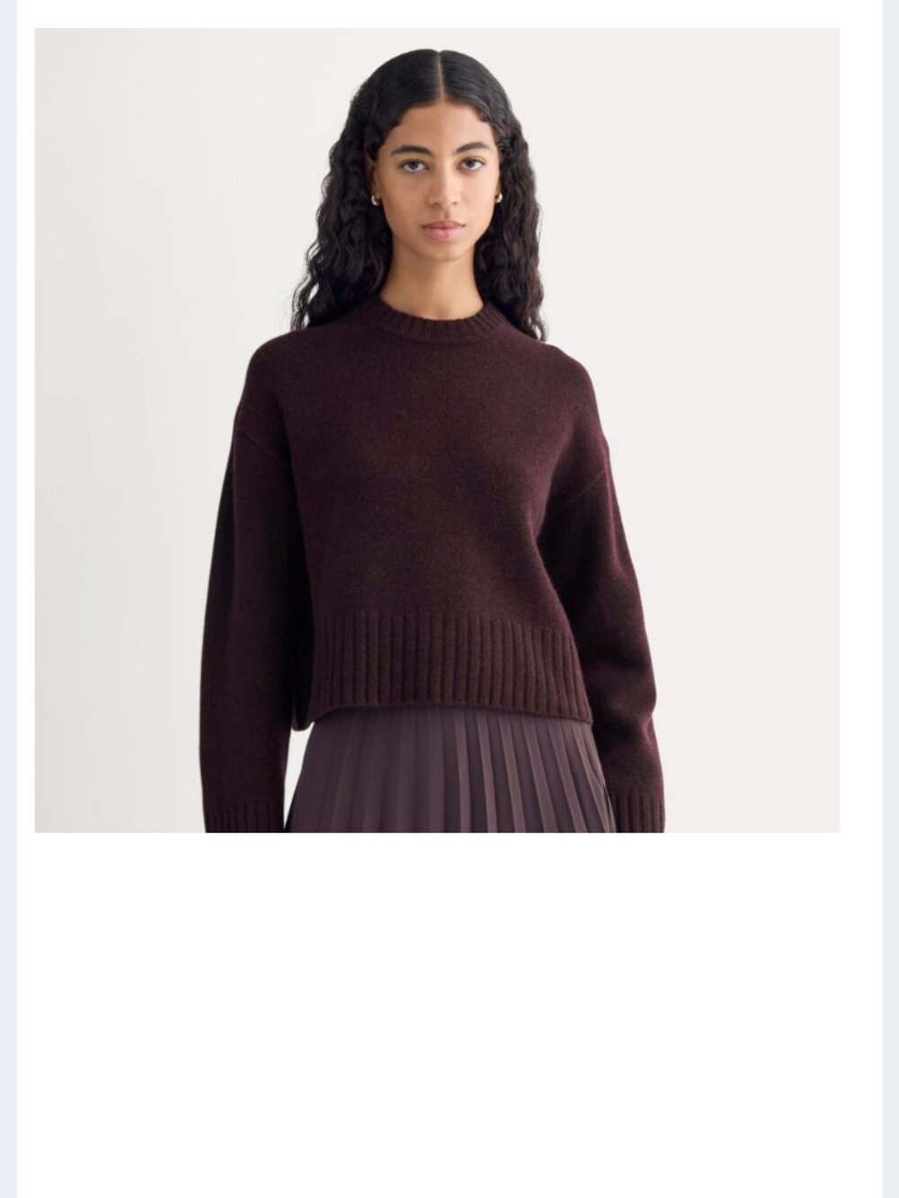 Cropped Boxy Lux Merino Crew Everlane/XL/Color: Heathered Wine